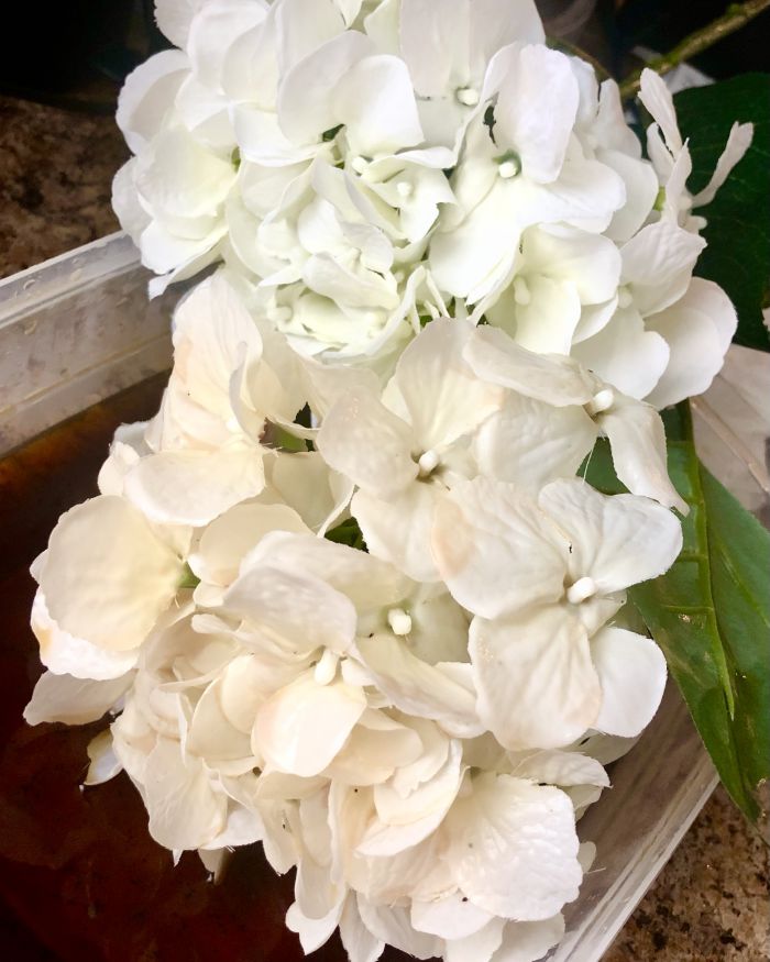 coffee-stain silk flowers