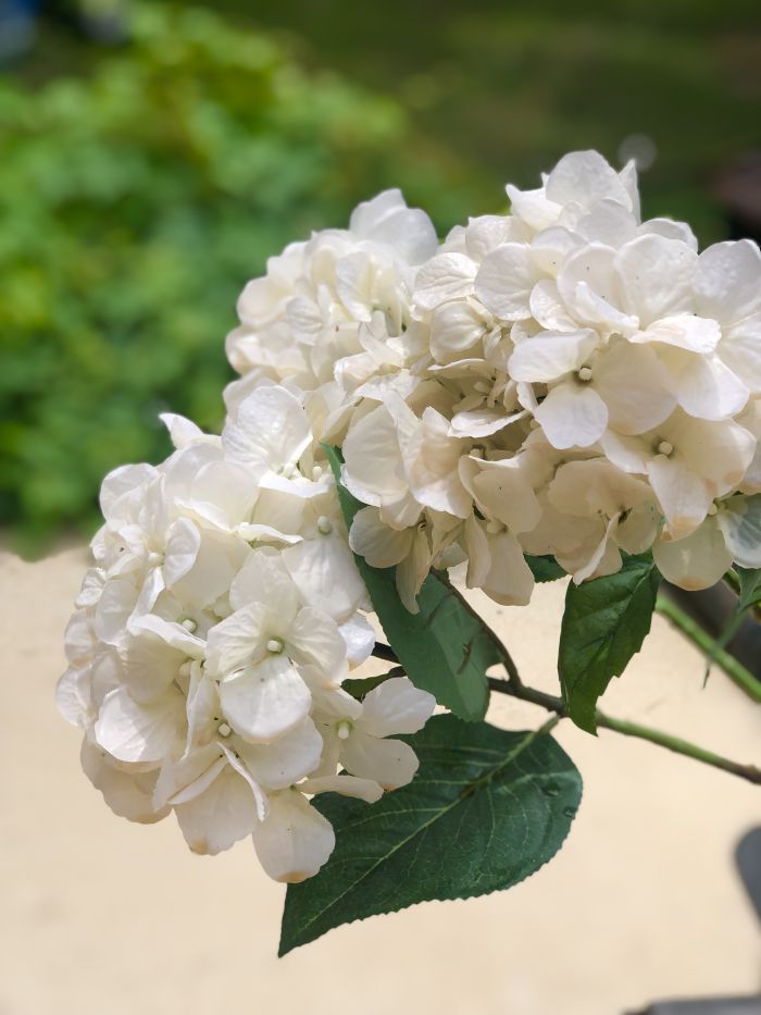 coffee-stain silk flowers