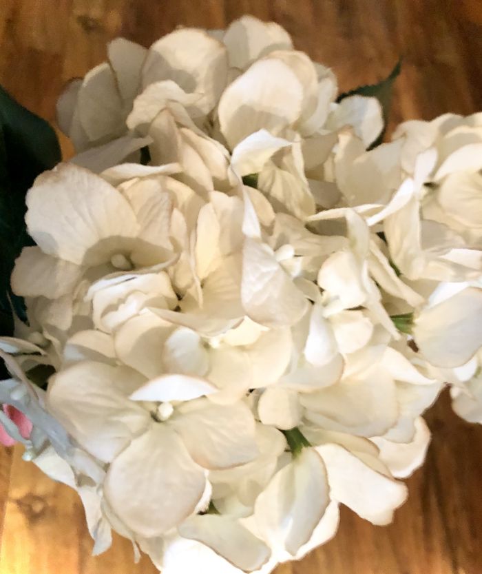 coffee-stain silk flowers